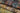 Schoner Wohnen Botanical Green Wallpaper