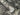 Schoner Wohnen Tropical Anthracite Wallpaper