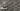 Schoner Wohnen Tropical Anthracite Wallpaper