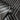 Shard Trellis Charcoal Wallpaper