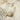 Silvana Feather Natural Beige Wallpaper