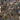 Statement Animal Beach Party Navy Wallpaper