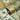 Statement Grand Floral Gold Wallpaper