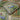 Statement Tropical Frames Gold Wallpaper