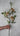 Rosa Spray Caramel 77cm Silk Flower