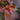The Trend Spectrum - 'Dede's Garden' Floral Multi Wallpaper