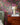 The Trend Spectrum - 'Dede's Garden' Floral Multi Wallpaper