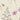 The Trend Spectrum - Flower Meadow White Wallpaper