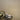 Tiffany Texture Champagne Wallpaper