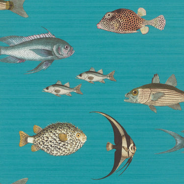 Turquoise Fish Wallpaper