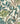 Vibrant Foilage Multi Wallpaper
