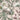 Wild Meadow Blush Floral Wallpaper