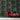 Jungle Paradise Black Wallpaper | WonderWall by Nobletts | Holden