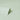 Grace Larson Texture Green Wallpaper - Fine Decor - FD43286
