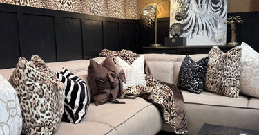 Our Boldest Window Yet (and Why Belfast Can’t Stop Talking About It)