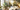 Transform Your Bedroom with Nature-Inspired Wallpapers | Biophilic Designs
