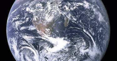 Wonderwall Shipping Worldwide