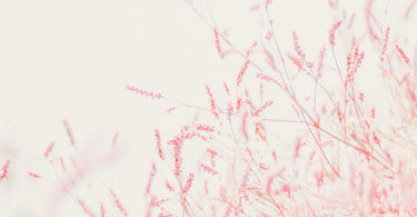 The Psychology of Colors in Wallpaper and Home Decor