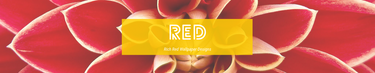 Red Wallpaper | Red Wallpaper Inspiration | FREE DELIVERY