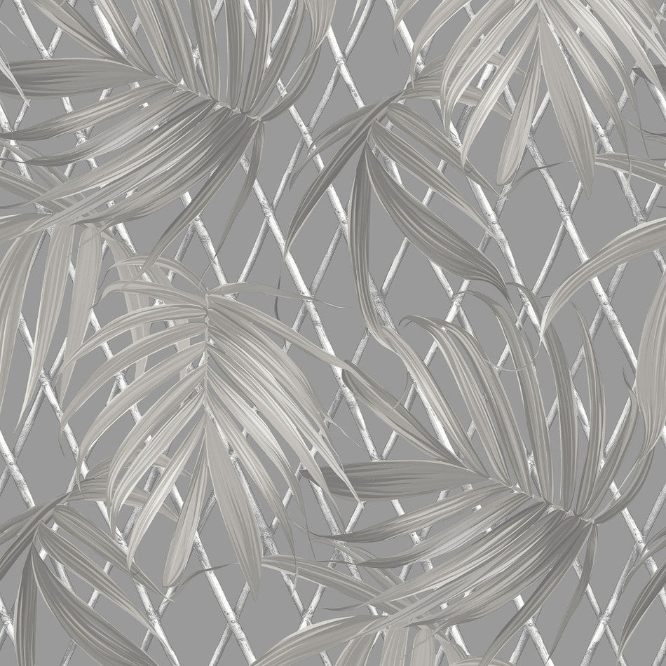 Paradise Palm Grey Wallpaper | Tropical Palm Wallpaper | 539547