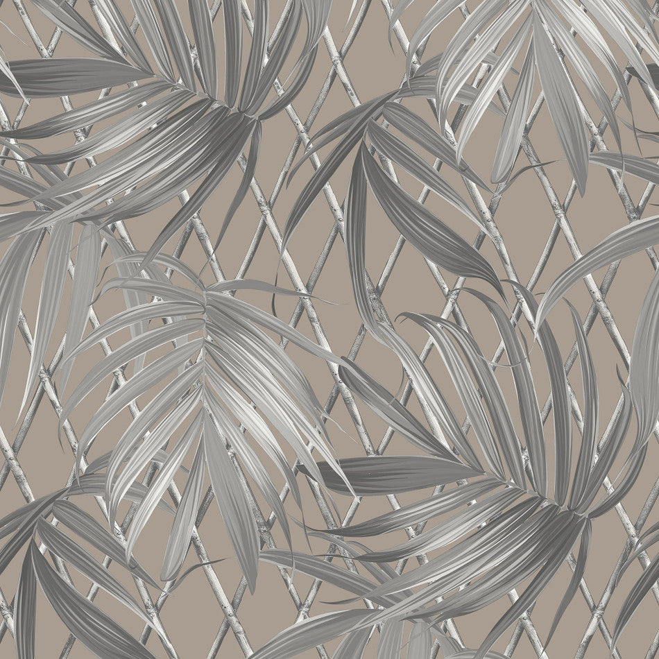 Paradise Palm Taupe Wallpaper | Tropical Palm Wallpaper | 539554