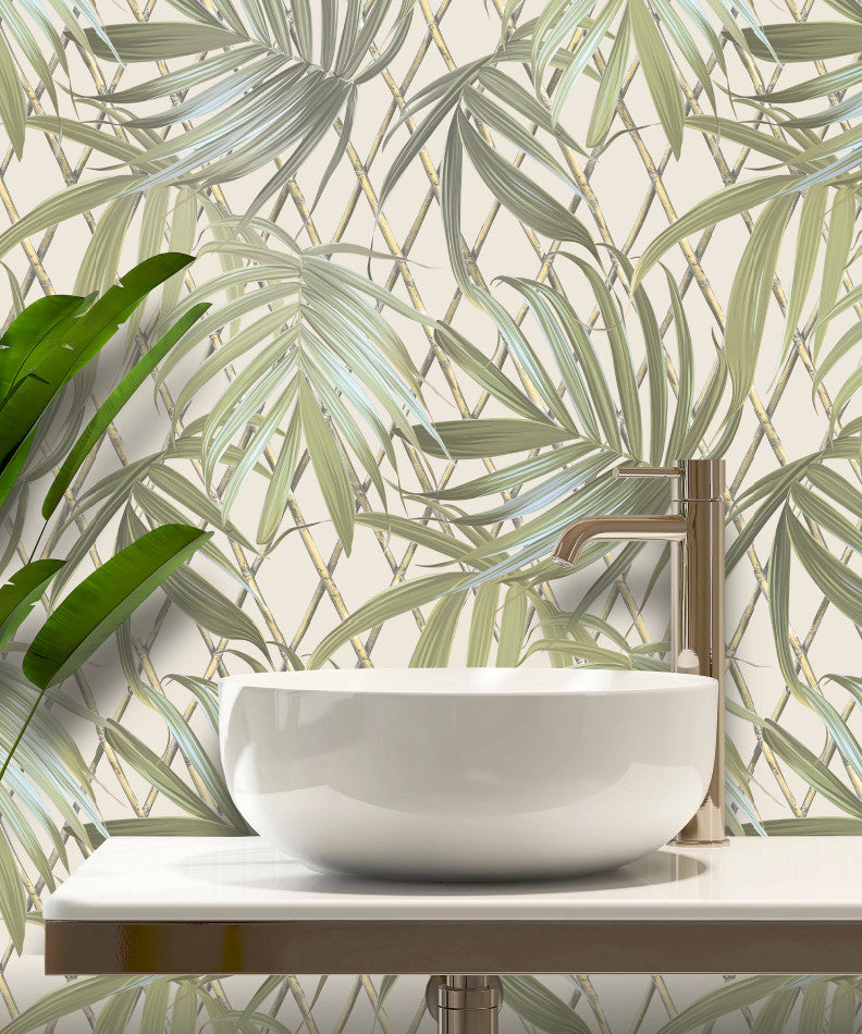 Paradise Palm Green Wallpaper | Trellis and Palm Wallpaper | 539561