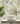Paradise Palm Green Wallpaper | Trellis and Palm Wallpaper | 539561