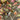 Bohemian Garden Khaki Wallpaper