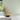 COSMOLiving - Textured Plain Pale Green Wallpaper
