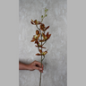 Cymbidium Bronze Silk Flower