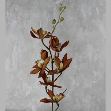 Cymbidium Bronze Silk Flower