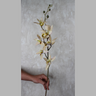 Cymbidium Ivory Silk Flower