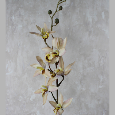 Cymbidium Ivory Silk Flower