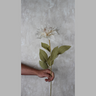 Dahlia Café Au Lait Silk Flower