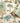 Dino Zoo Cream/Multi Wallpaper