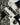 Enzo Black and Gold Marble Wallpaper | Rasch | 538113