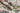 Floral Boutique Blush & Sage Wallpaper
