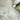 Giovanna Floral Wallpaper Cream and Grey


