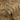 History of Art 2 - Luxury Tropical Metallic Gold Wallpaper