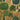 Mangrove Forest Antique Gold Wallpaper
