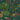 Mangrove Forest Teal Wallpaper