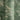 Metropolitan Stories Leaf Green Wallpaper