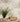 Metropolitan Stories Leaf Neutral Wallpaper