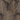 Metropolitan Stories Palm Dark Wallpaper