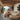 Metropolitan Stories Palm Neutral Wallpaper
