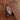Metropolitan Stories Palm Rust Wallpaper