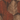 Metropolitan Stories Palm Rust Wallpaper
