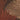Metropolitan Stories Palm Rust Wallpaper