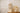 Metropolitan Stories Shell Beige Wallpaper