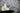 Metropolitan Stories Shell Navy Wallpaper